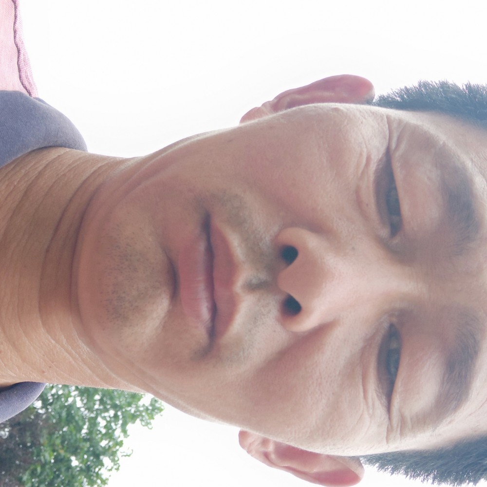 逐风蹁跹粗心的照片