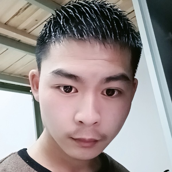小松鼠的雪白的照片
