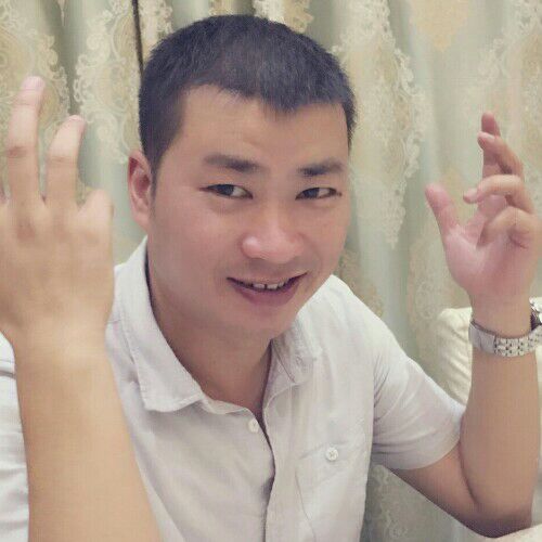 木林颜色的照片