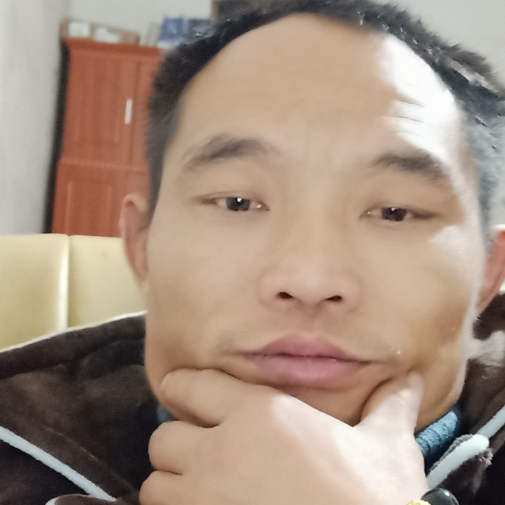 俏皮金鱼的照片