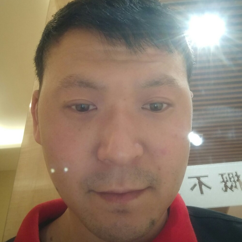 糟糕苦恋大树的照片