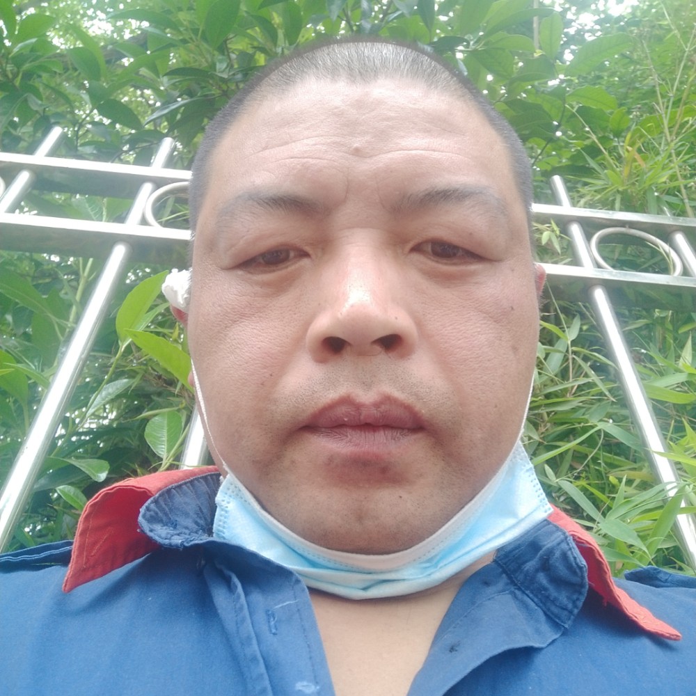 红乌鸦的照片