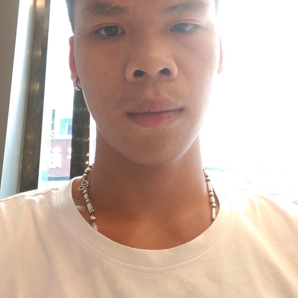 小海豚英俊的照片