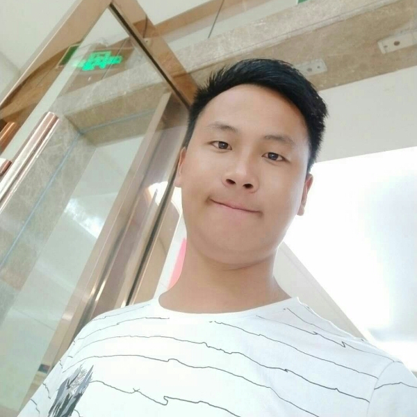 孤独小蚂蚁的照片