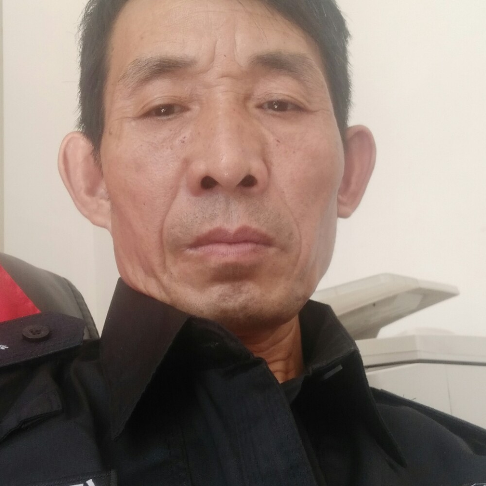 过时飞鸟的照片