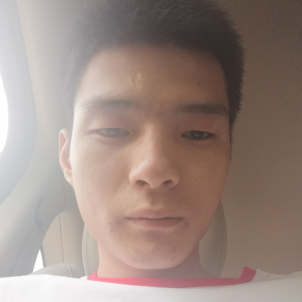 潇洒的松鼠的照片