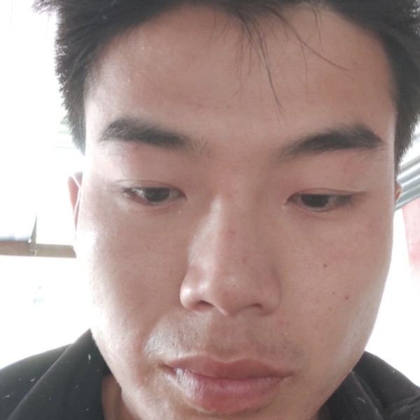 菠萝秀丽的照片