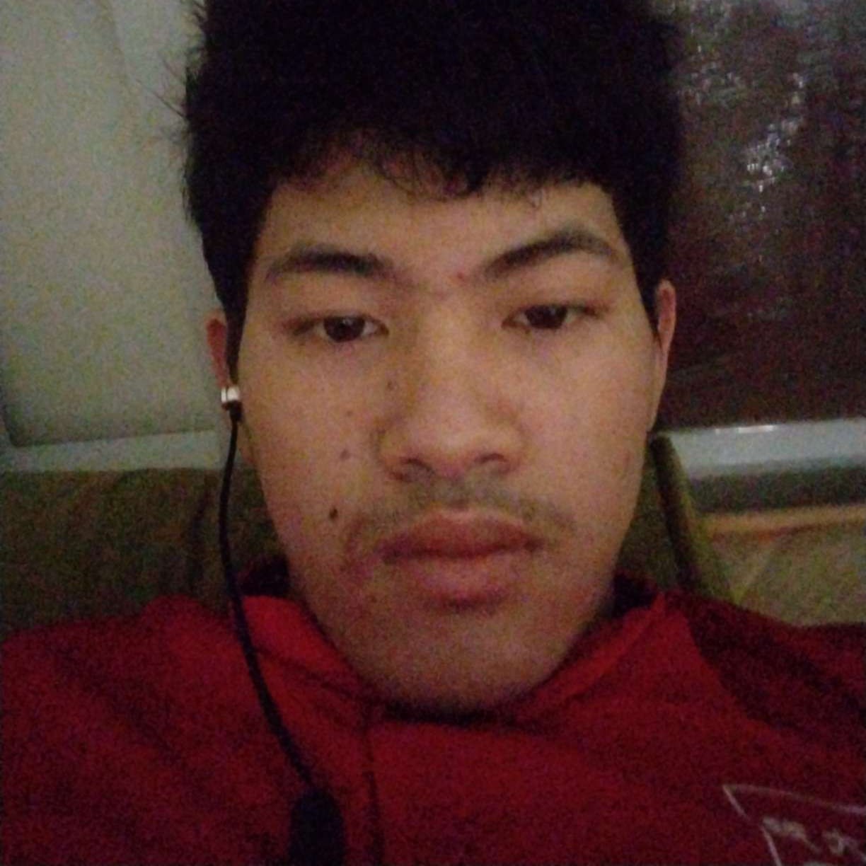 灵巧凝眸奇迹的照片
