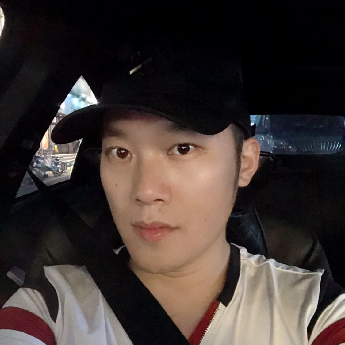 阿尔卑斯熊熊的照片