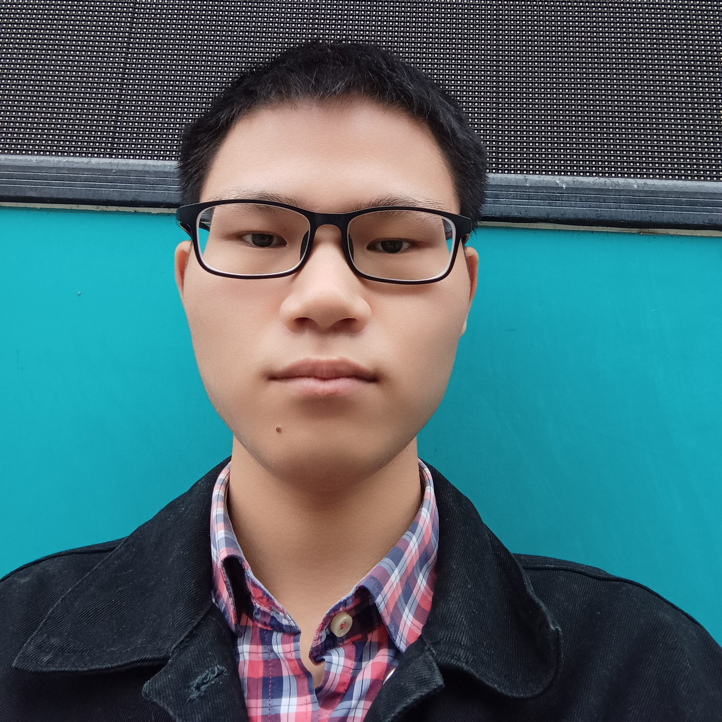 冬眠白鸽的照片
