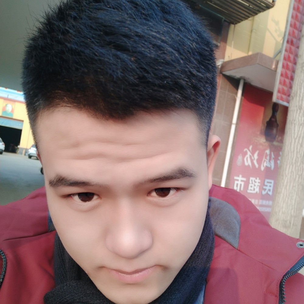 小懒猪背后的照片
