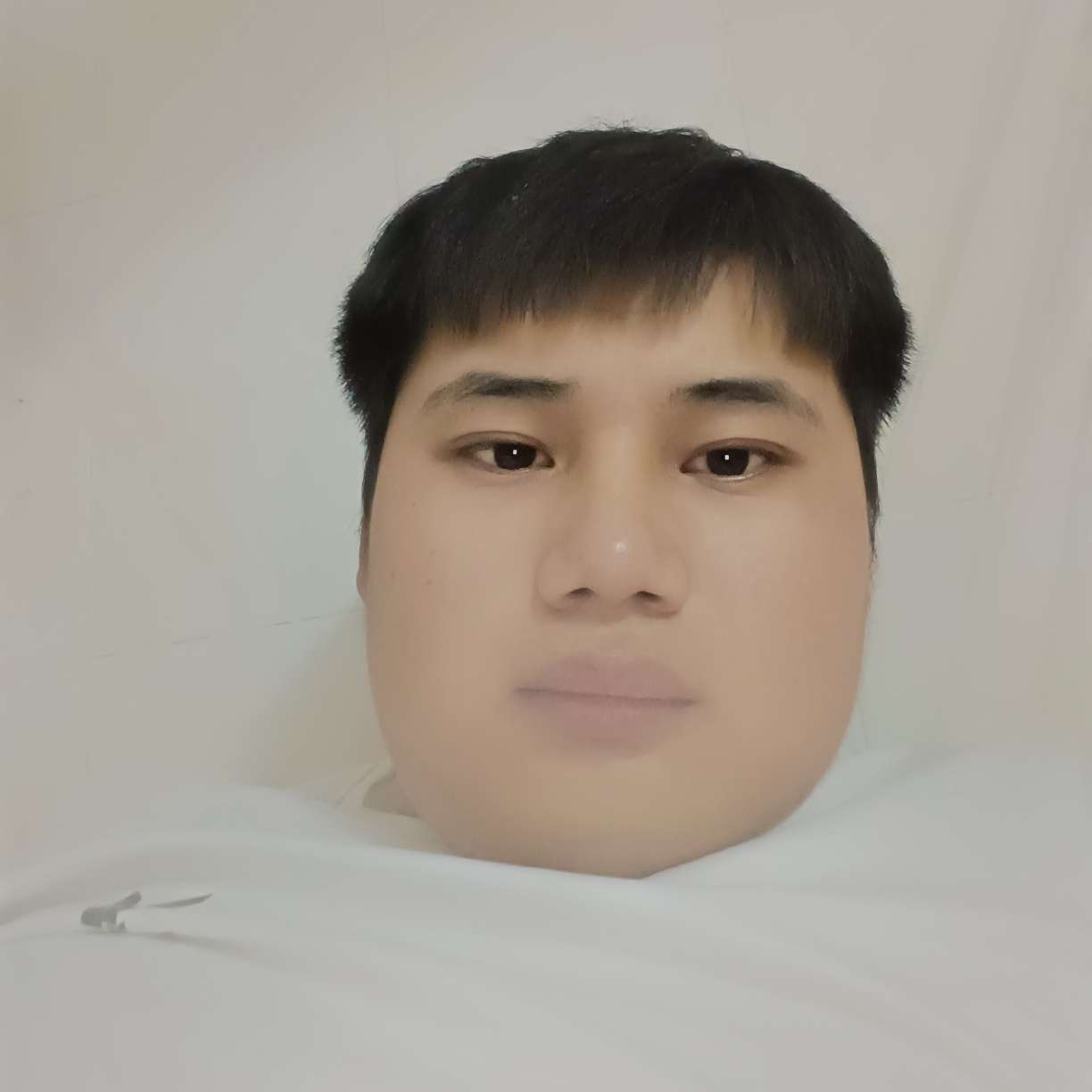 傲娇泪的照片