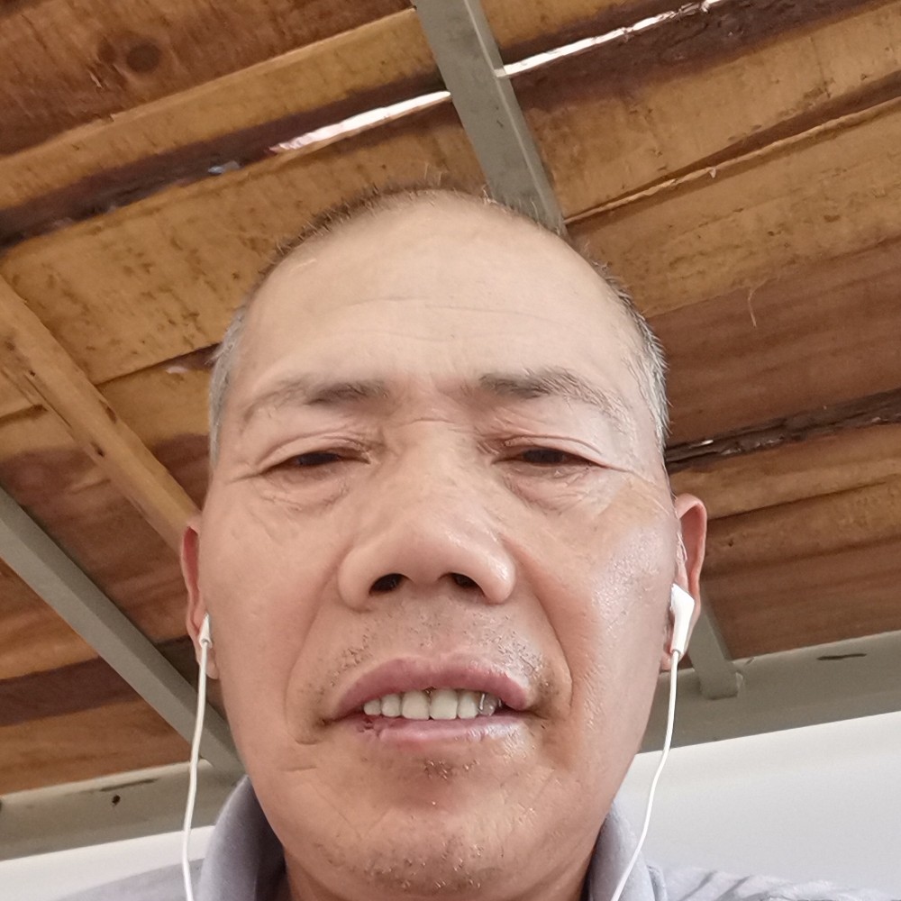 醉月向丰富的照片