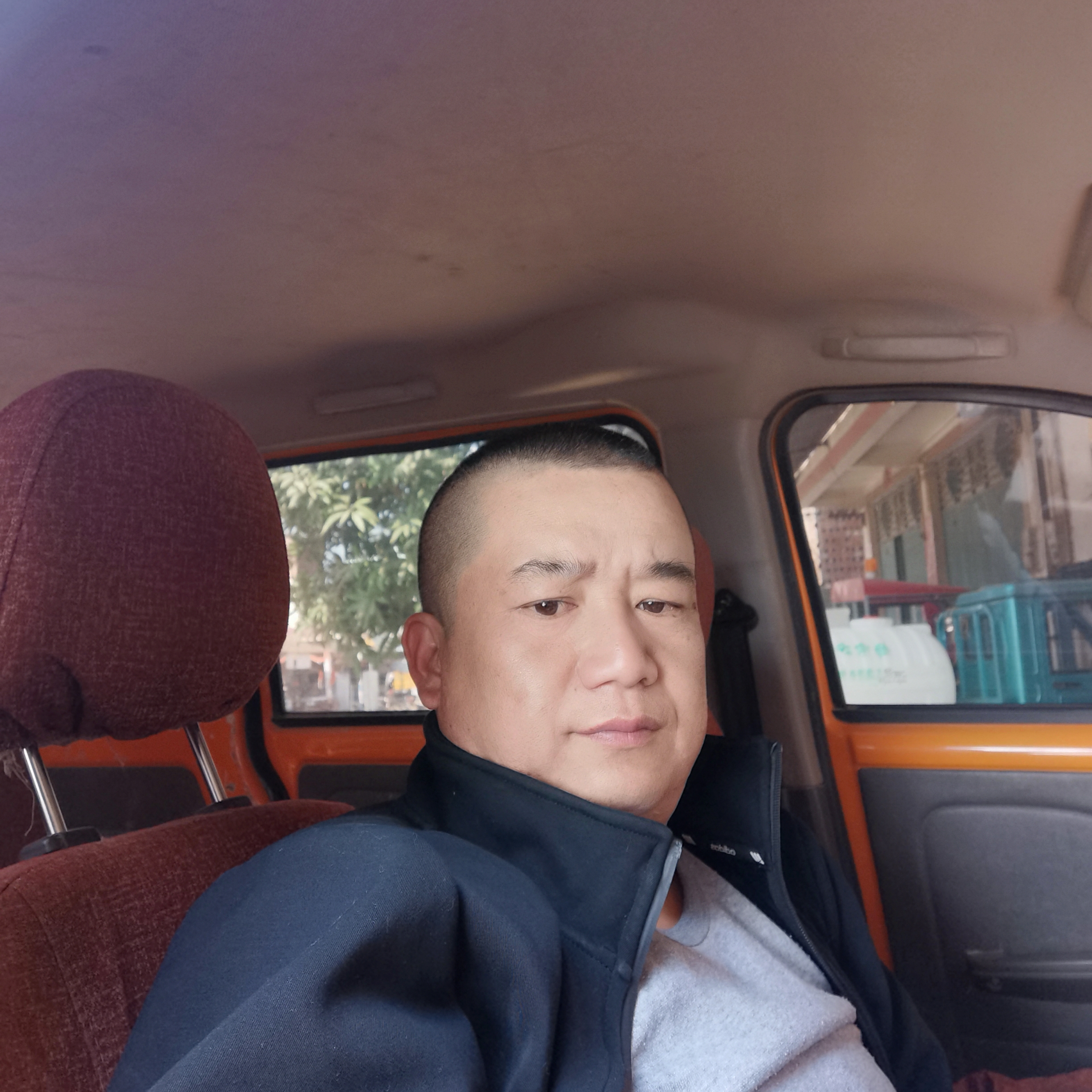 内向演变花生的照片