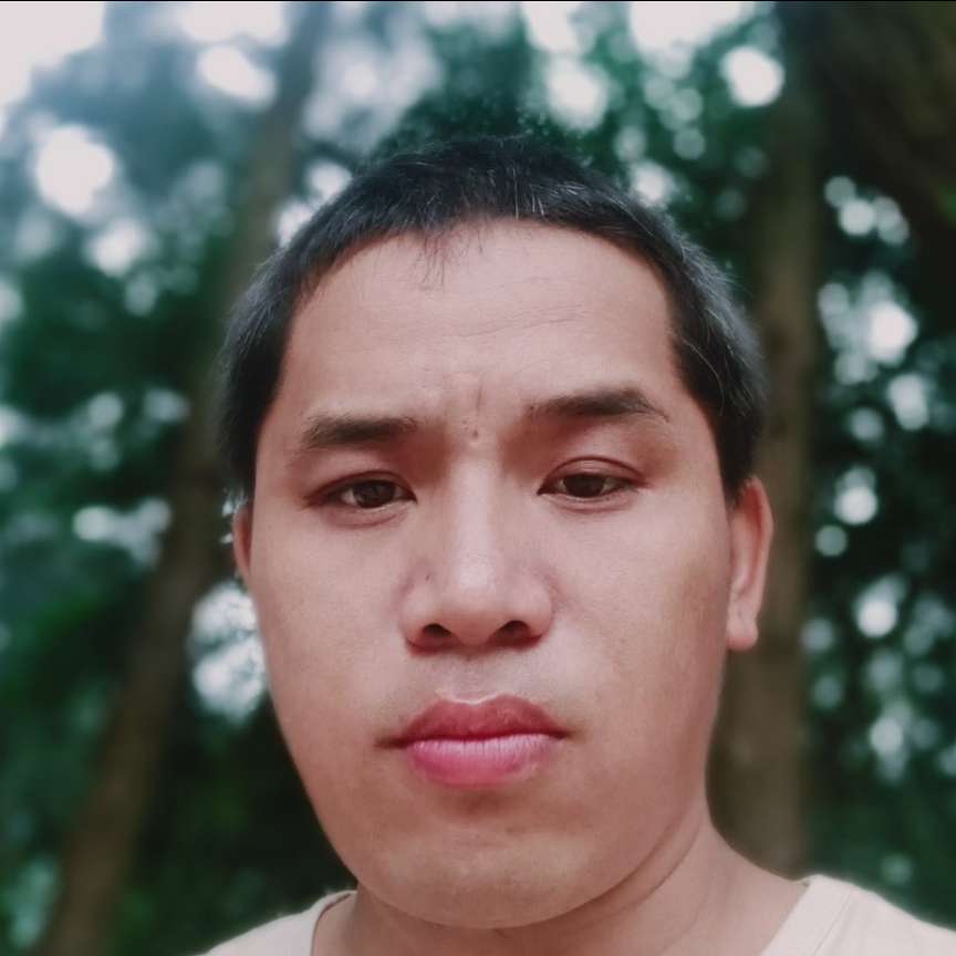 翩飞还仙人掌的照片