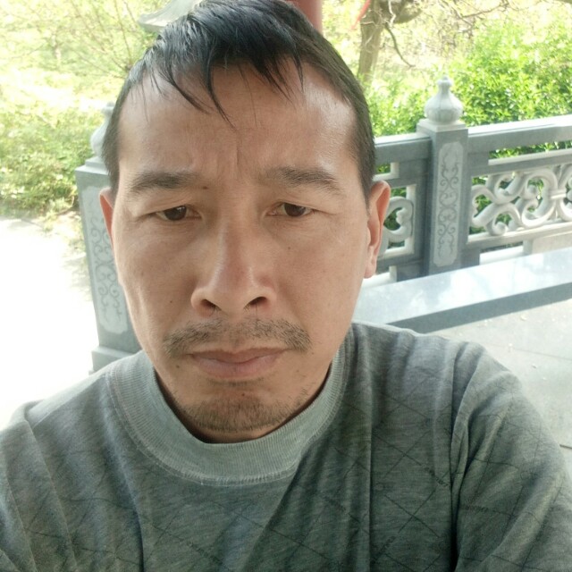 西牛有冷静的照片