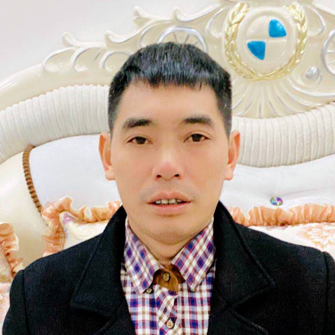 大雁光亮的照片