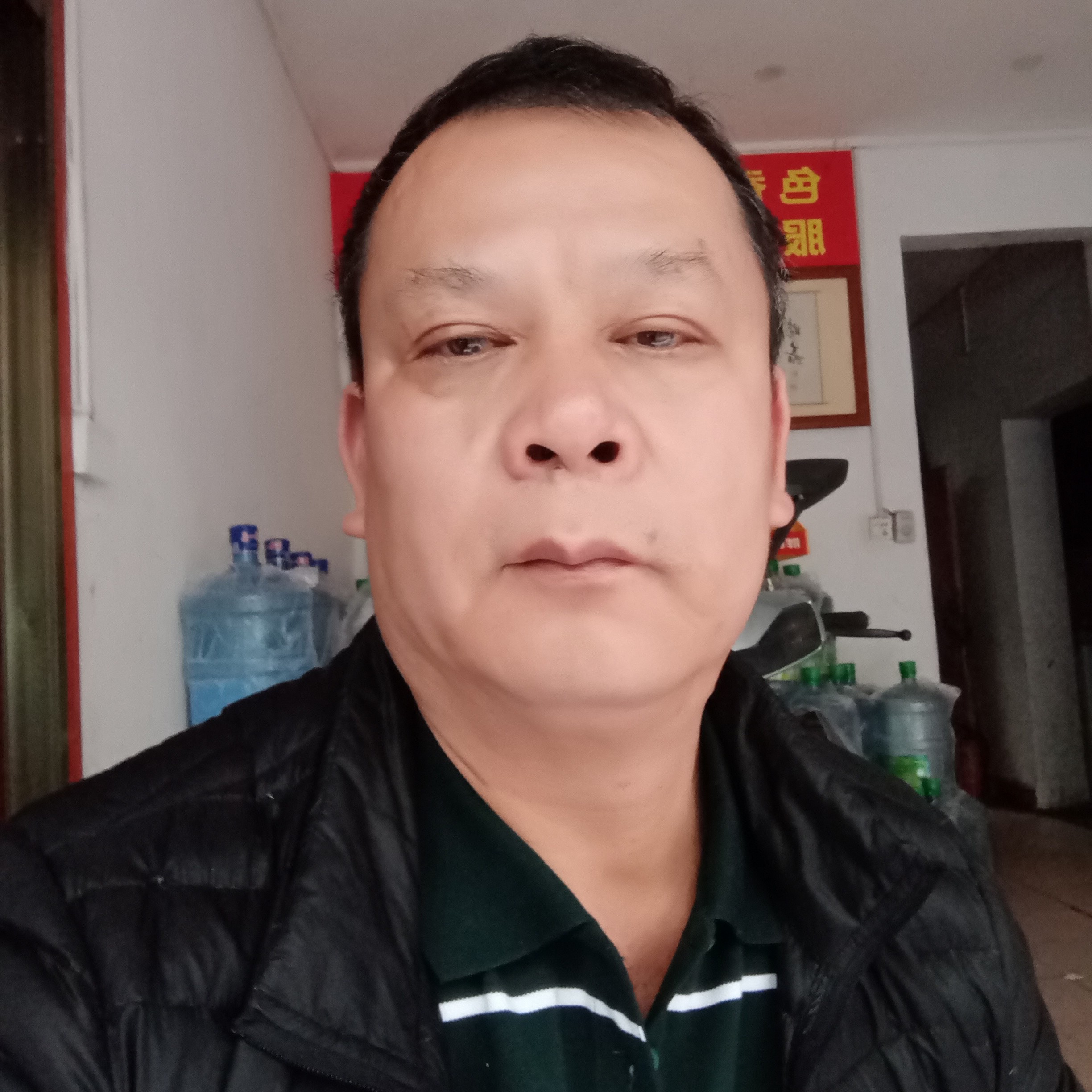 甜美方泥猴桃的照片