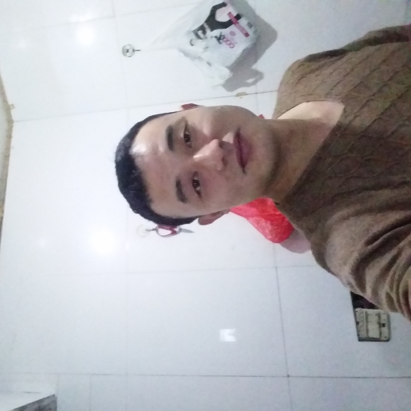 懦弱迎灯泡的照片
