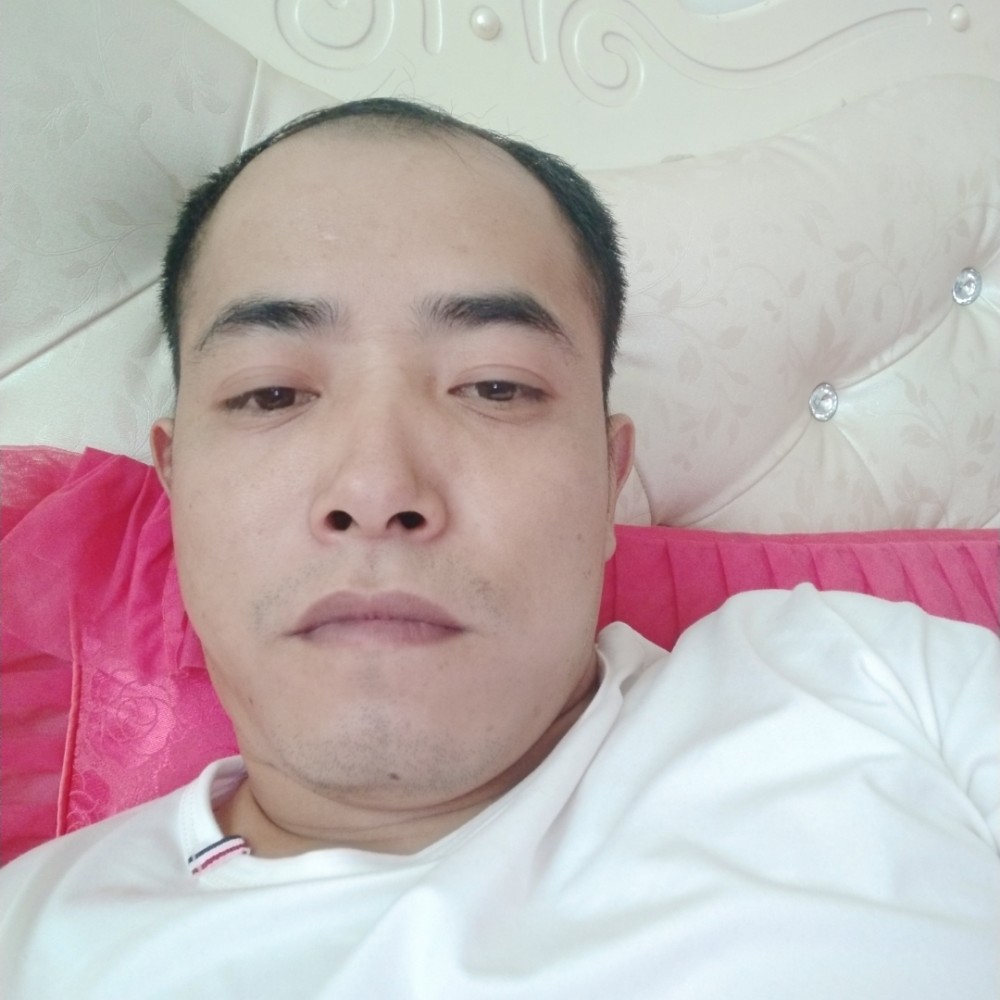 鱼内向的照片