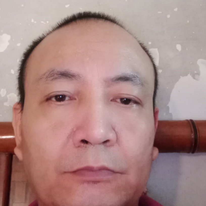 绿草向自由的照片