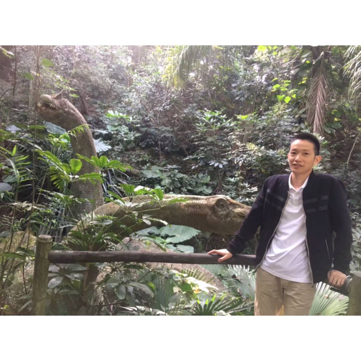 光亮深拥惊鸿的照片