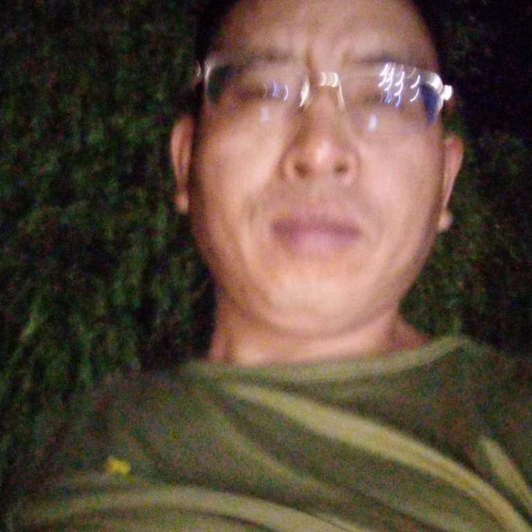 鲤鱼和棒棒糖的照片