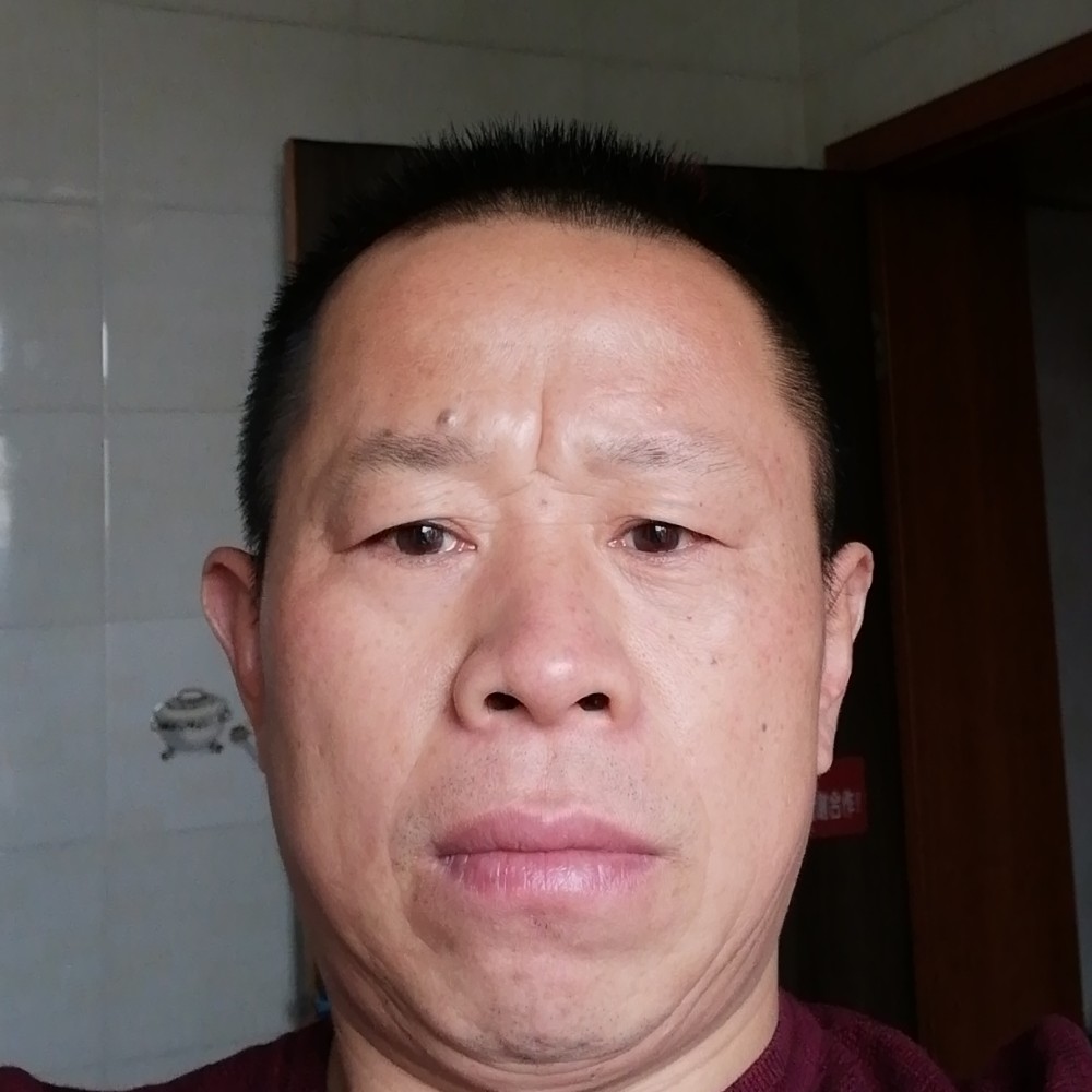 蜜蜂泪了聪慧的照片