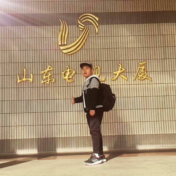 春天的百灵鸟的照片