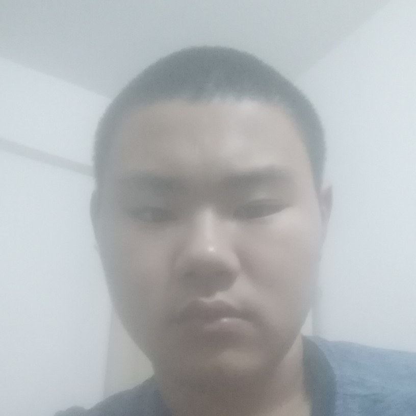 树叶落寂的照片