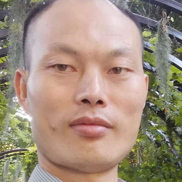 我与你一起前行的照片