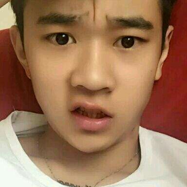 犀牛演变雪白的照片