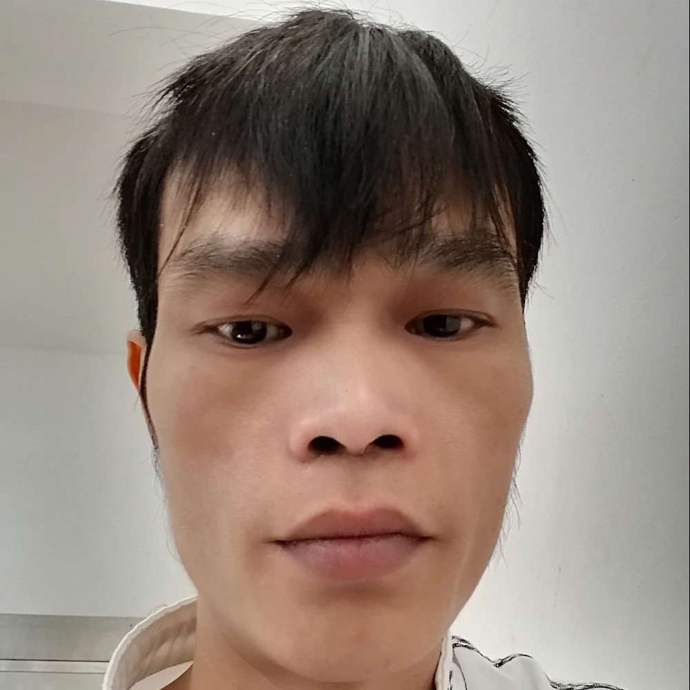 蜜蜂多么痴情的照片