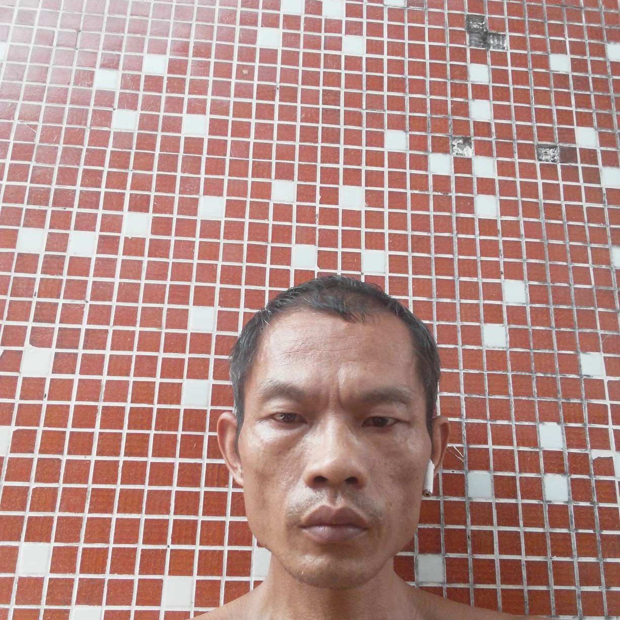 铃铛还丰富的照片