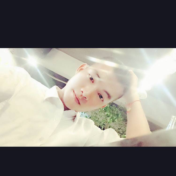 萨摩耶可乐的照片
