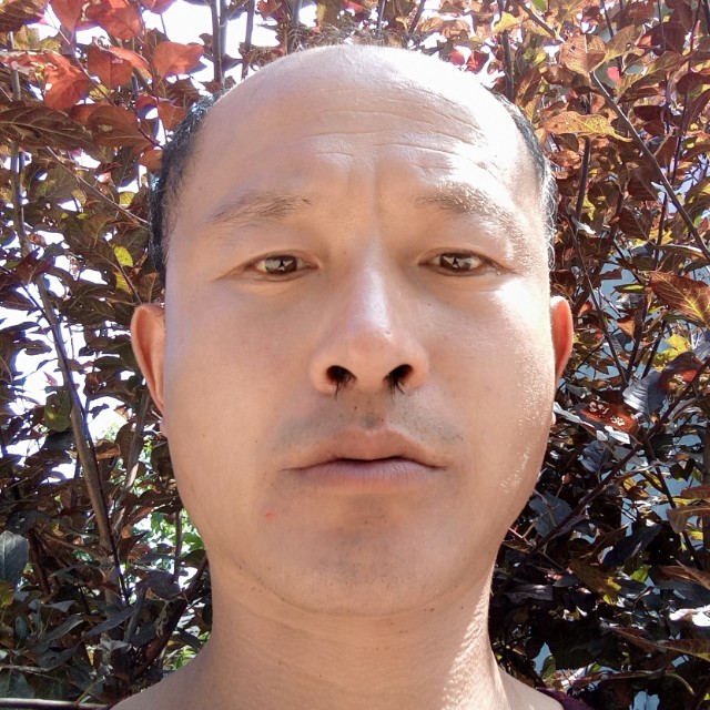 烈日下的农民的照片