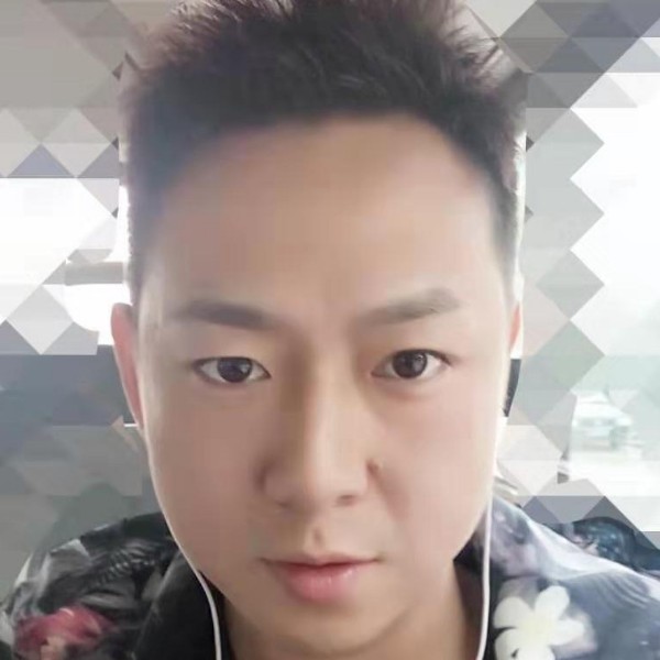 大象阳光的照片