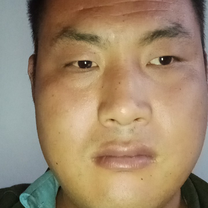 老虎温暖的照片