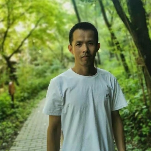 灰狼泪了追寻的照片