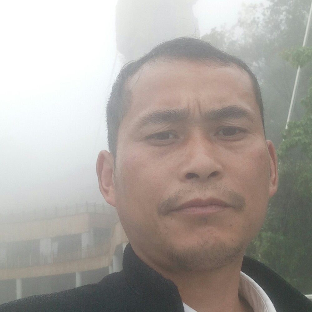默默方泥猴桃的照片