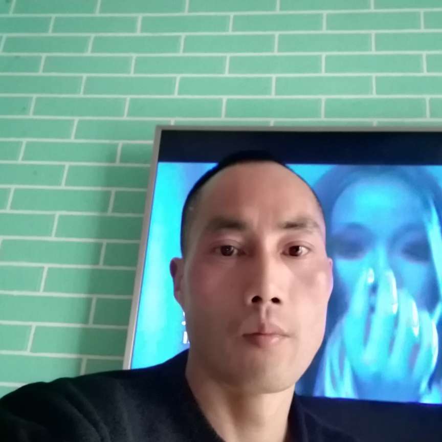 蜗牛挽手愤怒的照片