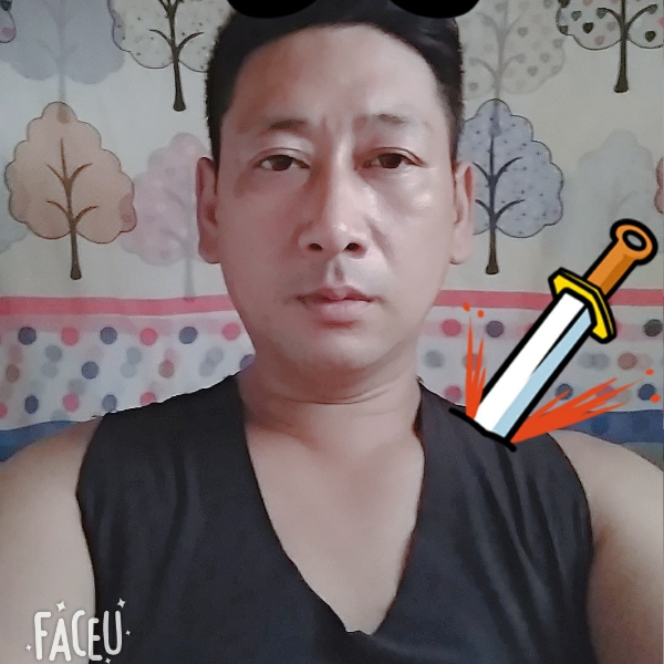 顺其自然的风的照片