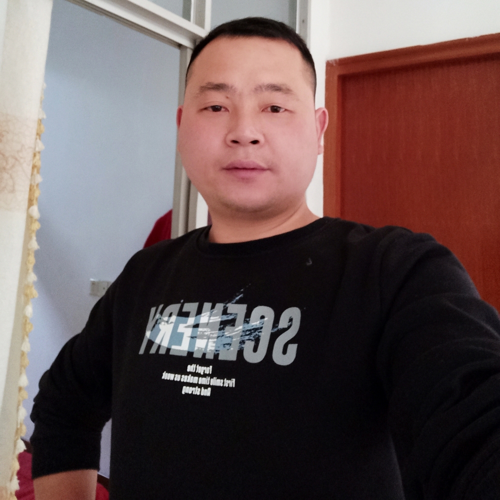 小鸽子拾忆过时的照片