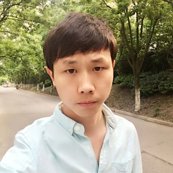 树叶深拥平淡的照片