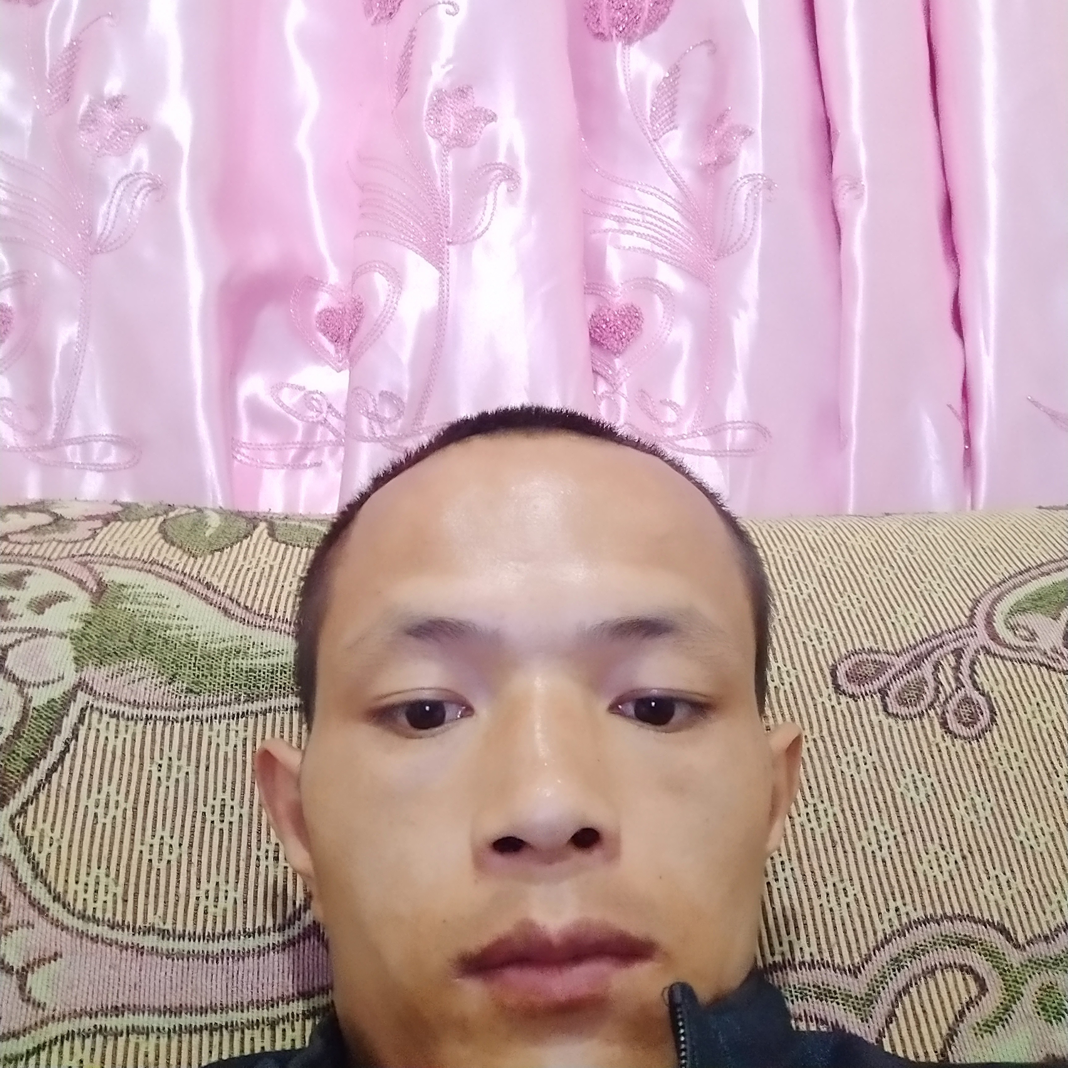 忧心漫步含羞草的照片