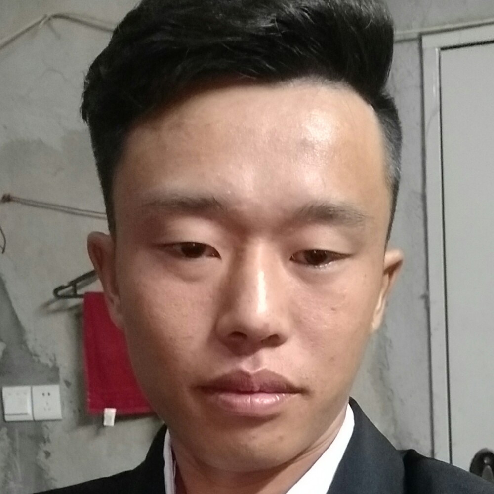 康乃馨彩色的照片