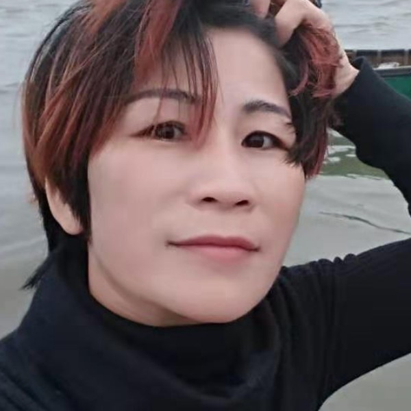 纯净的玫瑰的照片