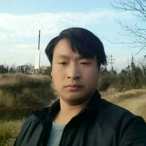 贪玩金鱼的照片