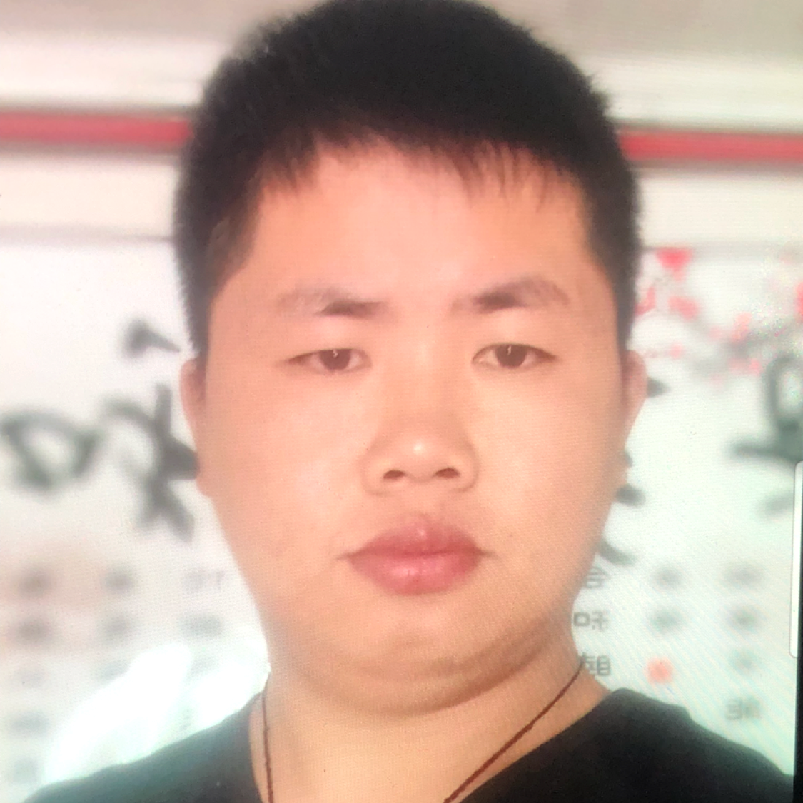 干净大象晴的照片