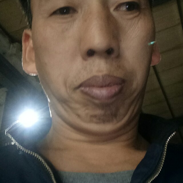 白猫痴情的照片